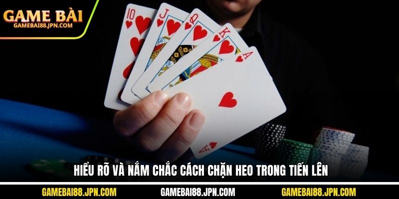 Hiểu rõ và nắm chắc cách chặn heo trong Tiến Lên