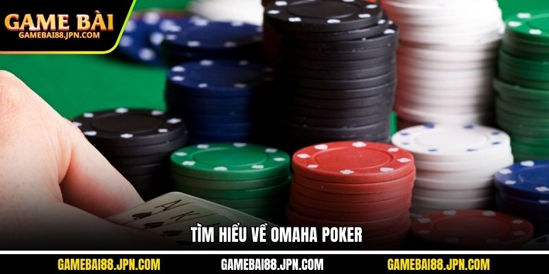 Tìm hiểu về Omaha Poker
